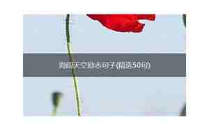 海阔天空红尘坠的句子