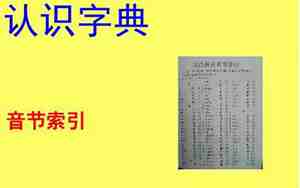捉音节是什么