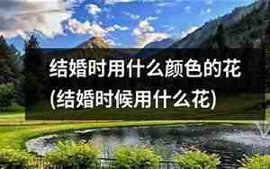 结婚用什么色调