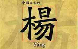 好听的杨字快手名字