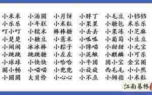 名字大全猪宝宝小名