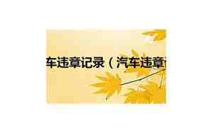 哪里可以查汽车违章
