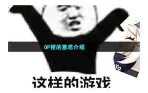 op是什么意思