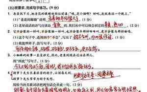 句子知识练习
