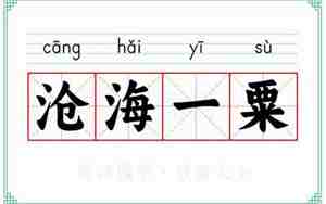 沧海一粟的意思
