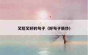 形容多又好的句子