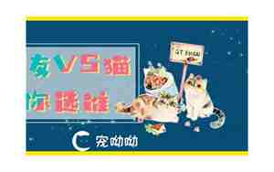 分手了男友骂我