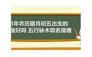 腊月属虎男宝宝名字