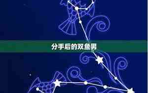 分手后双鱼男不理我了