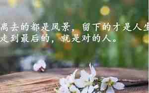 中医感叹人生的句子