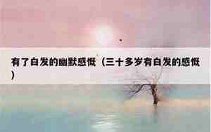 感慨有了白发的句子