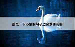 偶尔感慨一下的句子