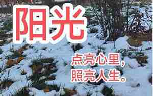 描写阳光下水下的句子