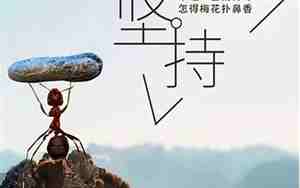 2019最新励志坚持的句子