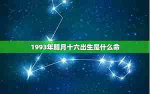 1993年是什么命