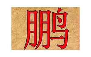 公司起名带鹏字的二个字