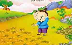 揠苗助长告诉我们的道理是