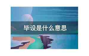 毕设是什么意思