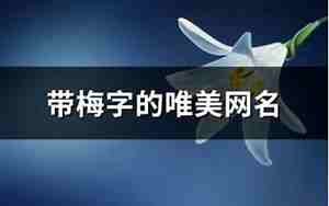 带梅字的网名