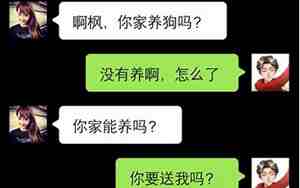 和女朋友怎么聊天了