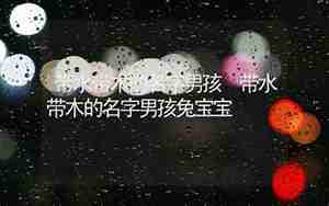 兔宝宝带木名字