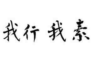形容我行我素的句子