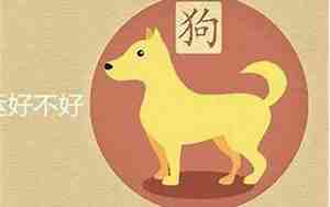 94年的狗是什么命