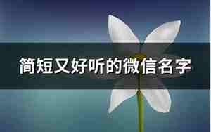 微信什么网名好听