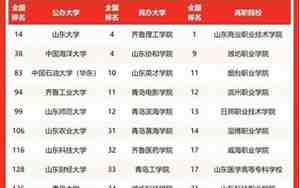 山东大学排行榜