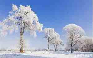 形容雪景美女的句子