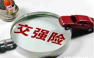 汽车交强险去哪里交