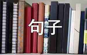 用每什么就造句子