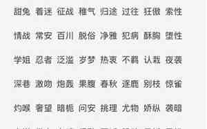 金典网名