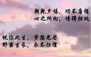带中文字的句子