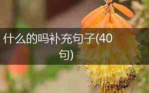 什么快乐吗补充句子