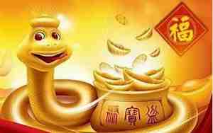 2013年属蛇的是什么命
