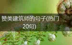 赞美建筑的句子