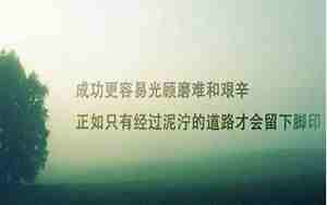 适合成长经历的句子