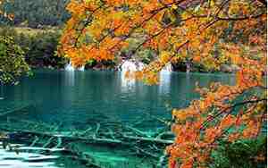 九寨沟景区天气