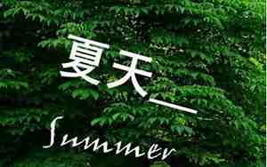 有关夏天优美的短句子