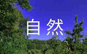 关于大自然的美的句子