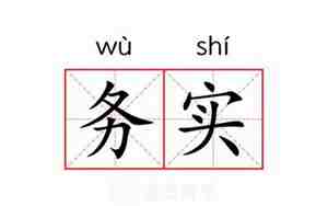 务实的意思