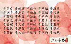 姓李魏宝宝名字大全