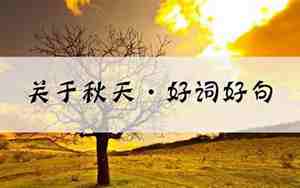 带有好词的句子