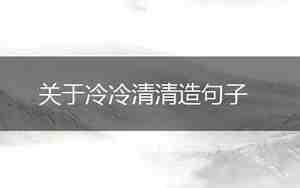 冷冷清清的句子