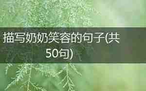 描写情侣笑容的句子