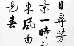 万紫千红总是春上一句