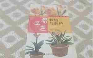 君子兰栽培与养护
