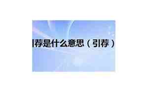 引荐是什么意思