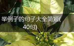 举例子的句子大全简短